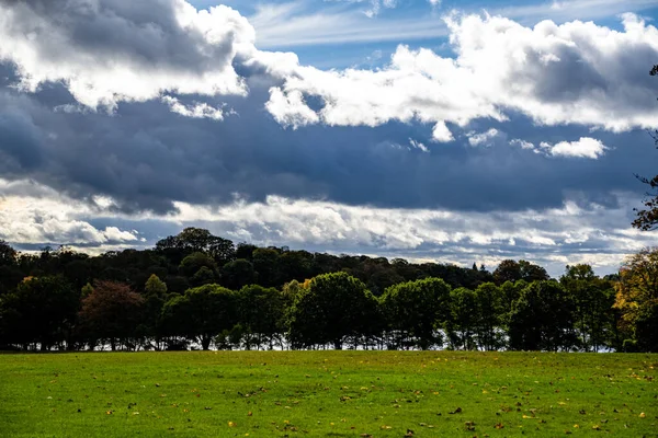 Una Hermosa Vista Del Parque Con Árboles Cielo Con Nubes — Foto de Stock