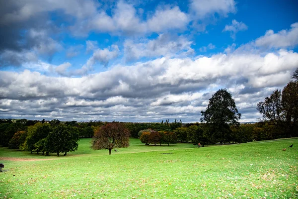 나무들 구름이 공원의 아름다운 — 스톡 사진