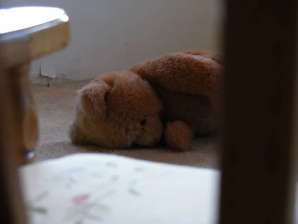 Ένα Κοντινό Πλάνο Ενός Παιχνιδιού Αρκούδας Στο Πάτωμα — Φωτογραφία Αρχείου