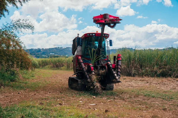 Aguada Puerto Rico 2021年2月26日 畑でサトウキビを収穫する機械 — ストック写真