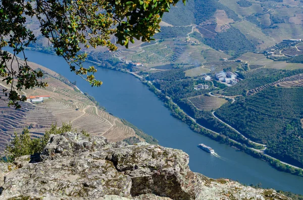 Plavba Podél Řeky Douro Vidět Pohledu Sao Leonardo Galafura — Stock fotografie