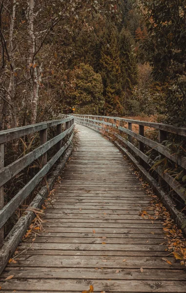 Vertical Shot Wooden Footpath Dry Leaves Autumn — Stok Foto