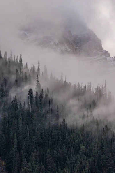 Plano Vertical Colinas Rocosas Cubiertas Bosques Niebla Canadá — Foto de Stock