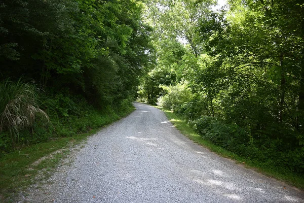 Beautiful View Pathway Surrounded Trees Greenery — Zdjęcie stockowe