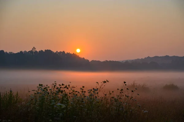 Sunrise Fog Covered Field Preston Connecticut — 스톡 사진