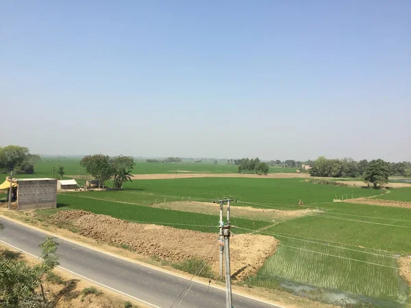 벵골의 농지를 지나가는 — 스톡 사진