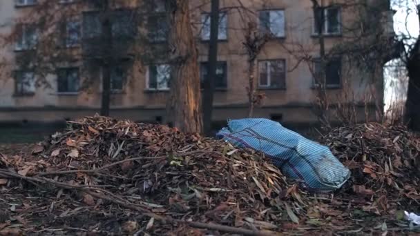 Homeless Man Sitting Bench Park — Video Stock