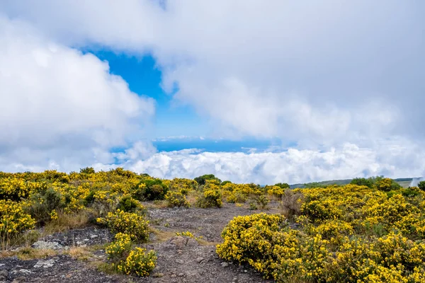View Maido Volcanic Peak Island Reunion Clouds — Stockfoto
