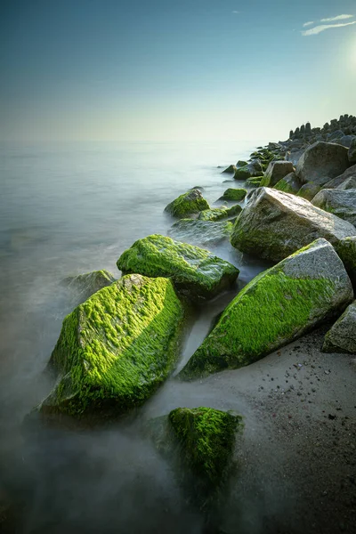 Vertical Shot Rock Formations Covered Moss Sea — Stok fotoğraf