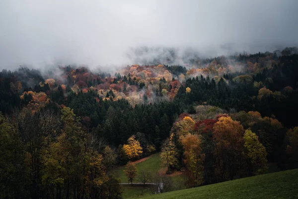 Landscape View Misty Morning Forest Bavaria German — Stok fotoğraf