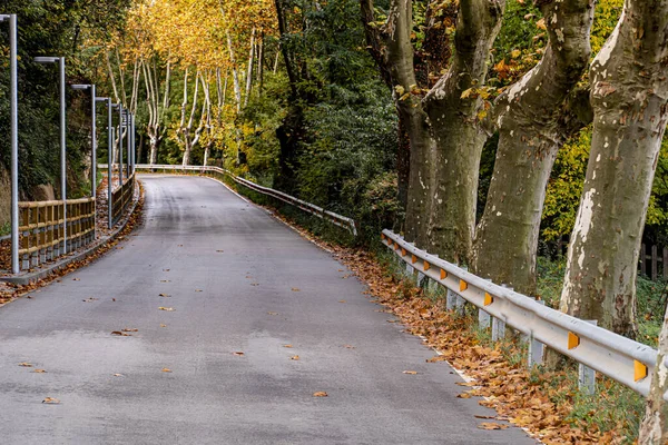 Eine Schöne Fallstraße Mit Absperrungen Auf Beiden Seiten Einem Wald — Stockfoto