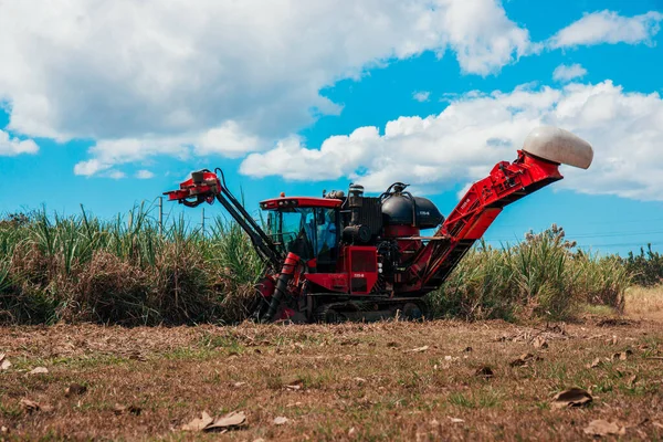 Machine Harvesting Sugar Cane Field — Fotografia de Stock