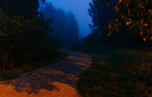 Path Misty Blue Hour Arboretum Tartu Estonia — Fotografia de Stock