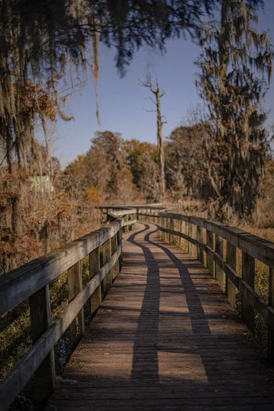 Wooden Walking Bridge Phinizy Swamp Nature Park Augusta Georgia — стоковое фото