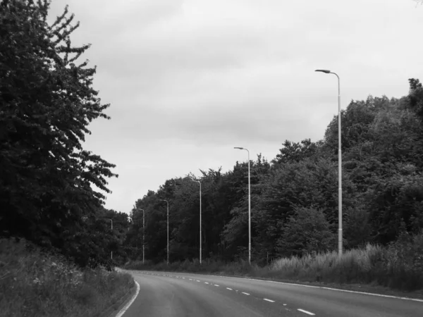 Grayscale Shot Long Rural Road Forest — Stock Photo, Image