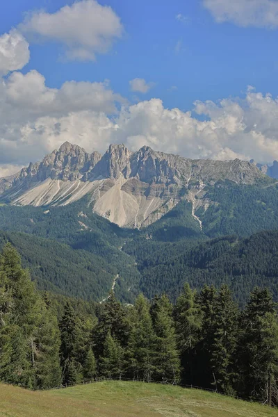 Beautiful Shot Greenery Covered Mountains Snowy Peaks — Fotografia de Stock