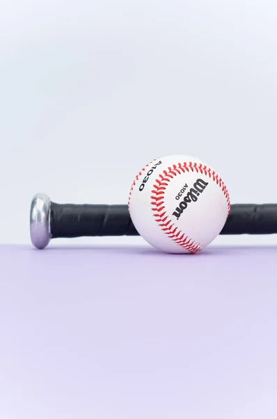 Inverigo Itálie Prosinec 2021 Izolovaný Baseballový Míček Pálka Šeříku Pozadí — Stock fotografie