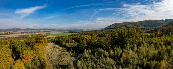 Uma Panorâmica Fascinante Uma Floresta Colorida Durante Outono — Fotografia de Stock