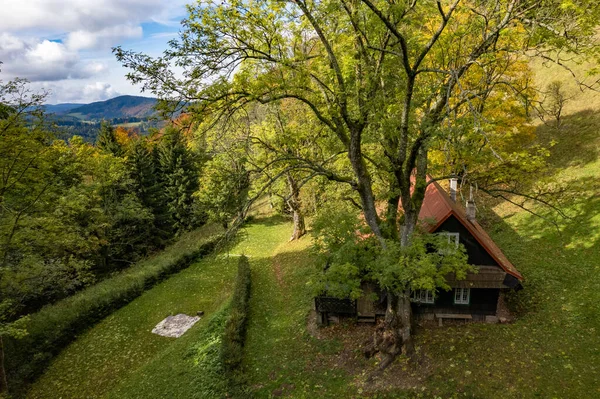 Schöne Aufnahme Eines Kleinen Landhauses Einem Wald — Stockfoto