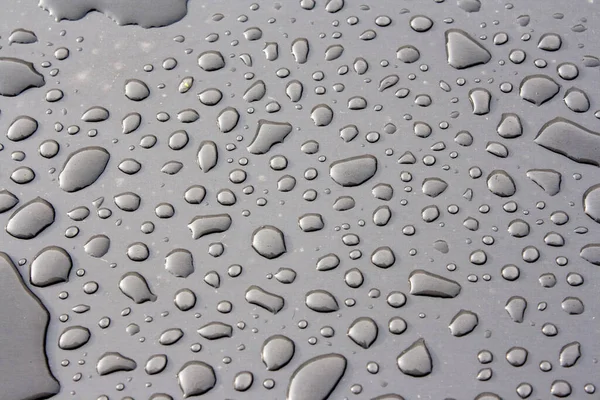 표면에 물방울의 — 스톡 사진