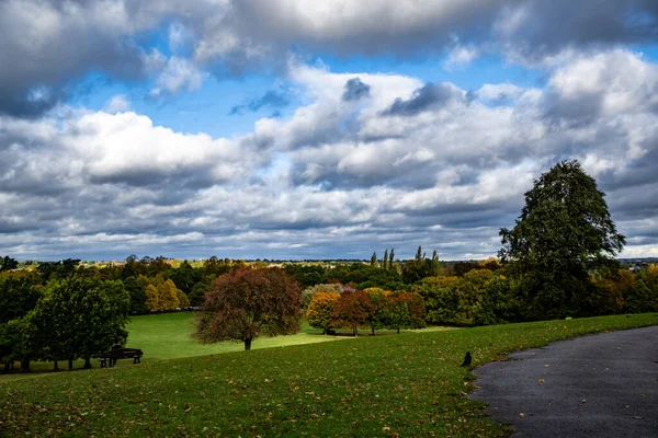 Una Hermosa Vista Del Parque Con Árboles Cielo Con Nubes —  Fotos de Stock