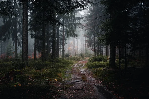 Una Vista Del Paisaje Ruta Forestal Bávara Noche Otoño Baviera —  Fotos de Stock