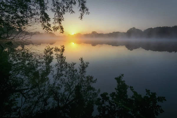 Beautiful View Foggy Pond Gleaming Sunrise — Stock Photo, Image