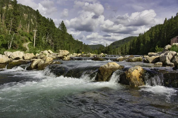 Una Cascada Hermoso Río Bordeado Árboles Alpinos — Foto de Stock