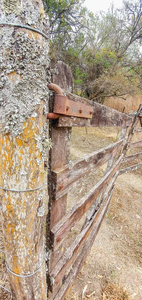 Vertical Shot Metal Fence Forest — Fotografia de Stock