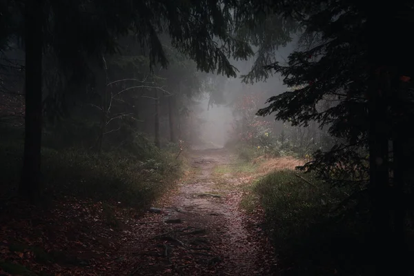 Landscape View Autumn Path Evening Bavaria Germany — Fotografia de Stock