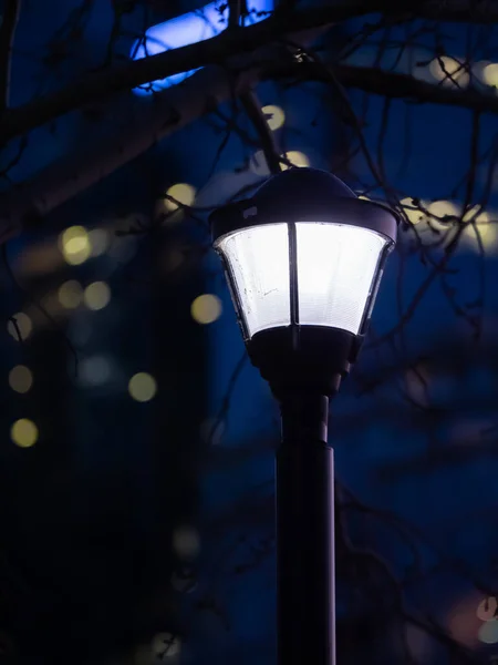 Vertical Shiny Street Light Post Street — Fotografia de Stock