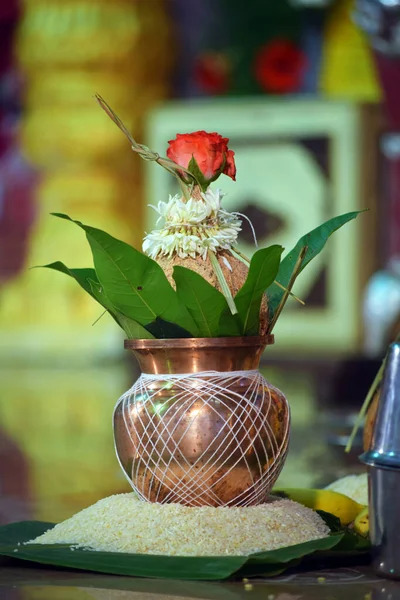 Vertical Shot Rose Kalasha Pot — Stock Photo, Image