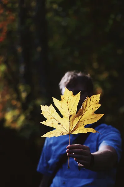 Vertical Shot Person Holding Yellow Maple Leaf Front Face — Stock Photo, Image