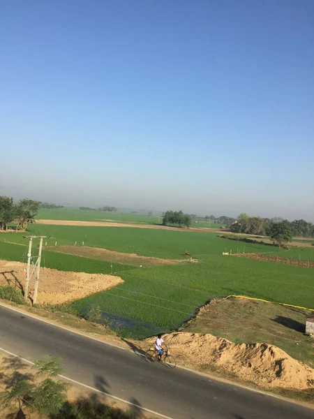 Camino Que Pasa Por Las Tierras Cultivo Bengala Occidental —  Fotos de Stock