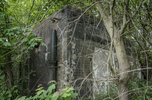 View Abandoned Industrial Building Surrounded Trees — Fotografia de Stock