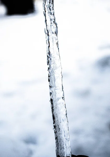 Une Prise Vue Sélective Une Glace — Photo