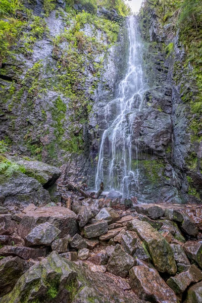 Vue Verticale Cascade Burgbach Forêt Noire Allemagne — Photo