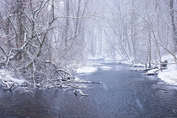Beautiful Snowy Forest Frozen River — Stock Photo, Image