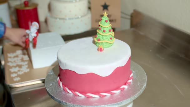 Noel Pastasını Süsleyen Kişinin Yakın Çekim Görüntüleri — Stok video