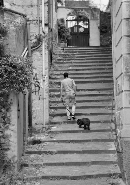 イタリアのジェノヴァで犬と階段を上る人の垂直グレースケールのバックビュー — ストック写真
