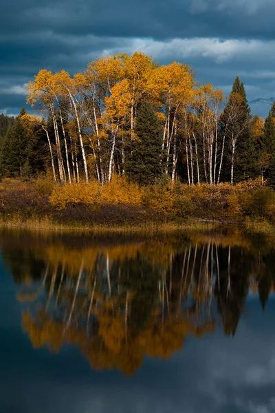 Vertical Shot Lake Surrounded Yellowing Trees Jasper National Park Canada — Stockfoto