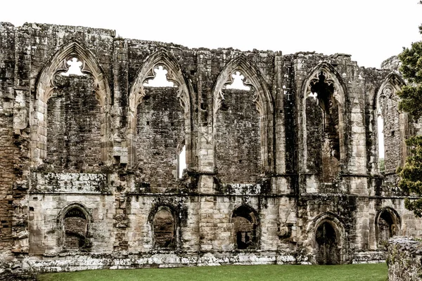 Die Easby Abbey Richmond Großbritannien Einem Bewölkten Tag — Stockfoto