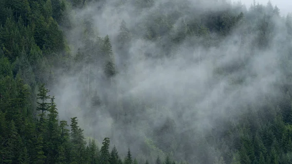 Eine Landschaft Aus Grünen Hügeln Und Nebel Tageslicht Kanada — Stockfoto