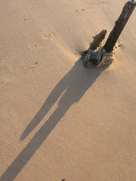 Wood Stick White Sand — Stock Photo, Image