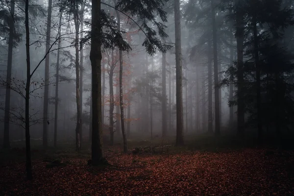 夕方の美しい霧の秋 ドイツのバイエルン州 — ストック写真