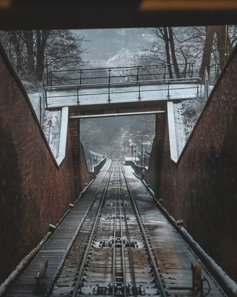 열차와 다리의 아름다운 — 스톡 사진
