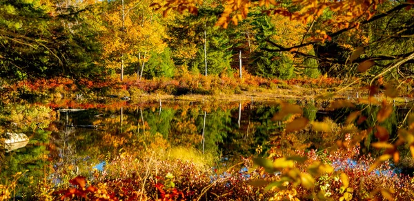 Uma Bela Vista Lago Cercado Por Árvores Coloridas — Fotografia de Stock