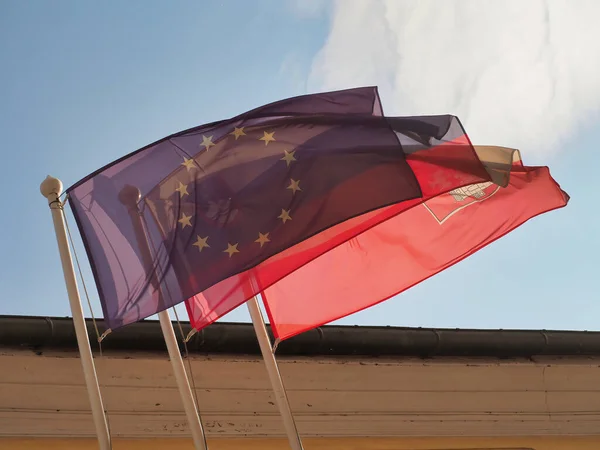 Gros Plan Drapeaux Arbres Sous Ciel Bleu — Photo