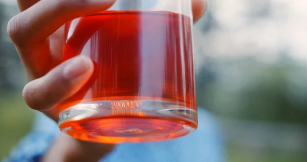 Soft Focus Hand Holding Glass Red Wine — Fotografia de Stock