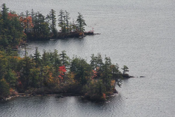 Mesmerizing View Calm Lake Surrounded Trees — Stock Photo, Image